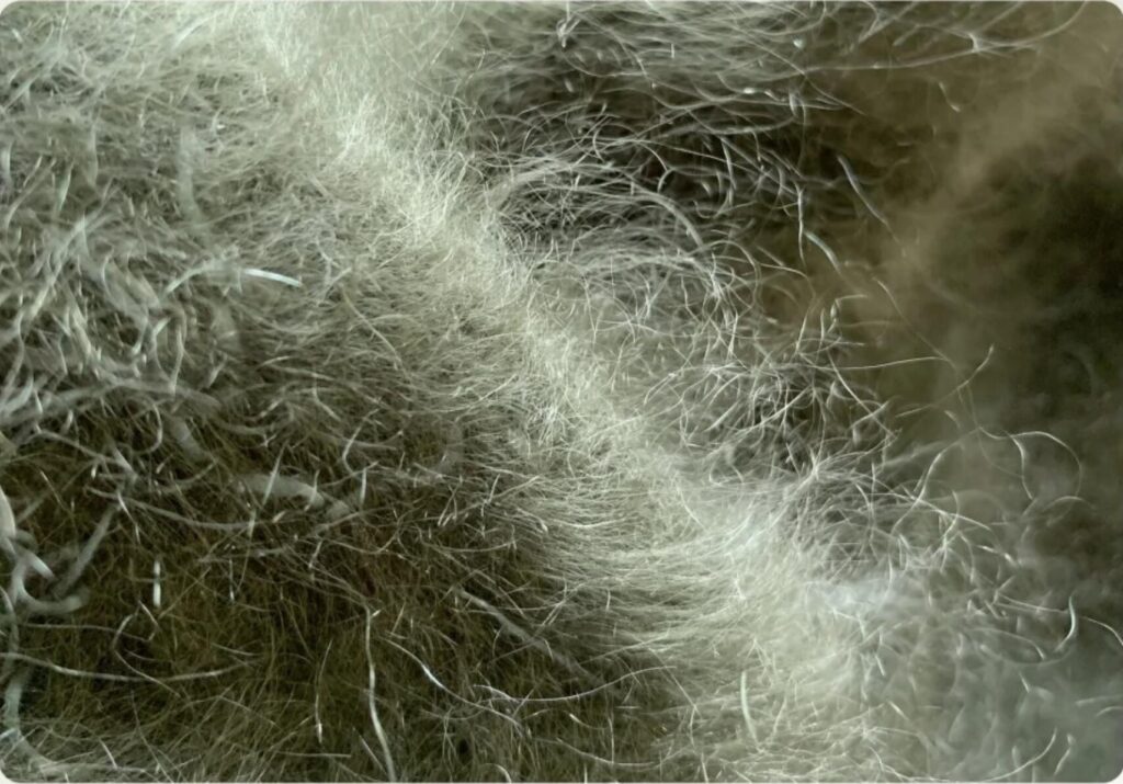 4. Brushed Cashmere